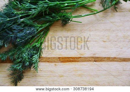 Dill Bunch On Wooden Table Background. Fresh Dill On Wooden Plank Background. Organic Dill Closeup O