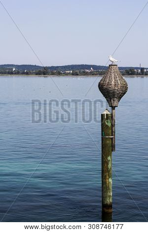 A Seagull Standing On A Traditional Lateral Mark - Made Of Rattan Basket (for Safe Water Of Pilotage