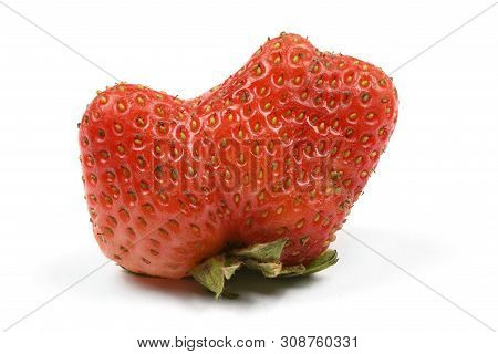 Ugly Organic Heirloom Home Grown Strawberries Isolated On White Background. Juicy Sweet Red Heiroom 