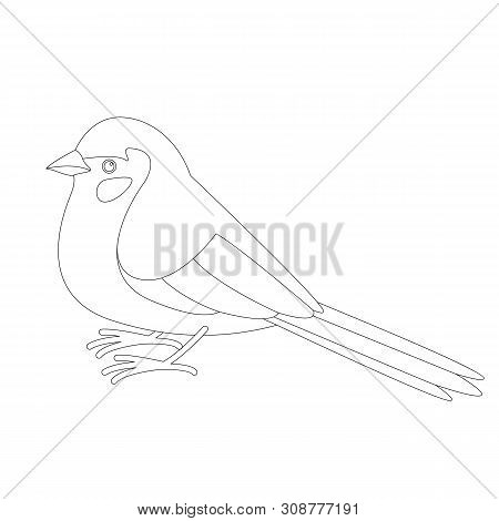 Bird Red - Cheeked Cordon,vector Illustration, Lining Draw
