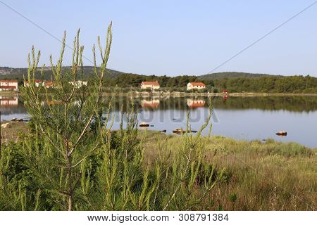 Reflexion - Early Morning On The Salt Lake