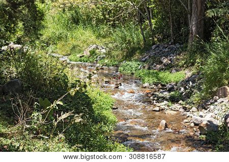 Small Stream In Volcan Baru National Park Panama
