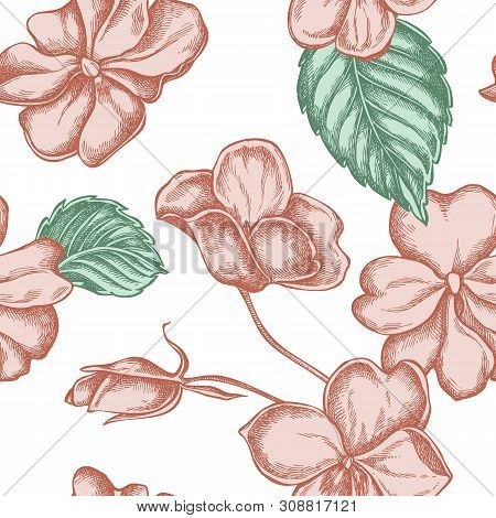 Seamless Pattern With Hand Drawn Pastel Impatiens Stock Illustration
