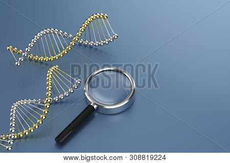 Dna Helix With Manifying Glass