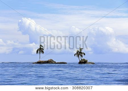 Two Tiny Palm Tree Islets Right Outside Zapatilla Sur. Bocas Del Toro, Panama