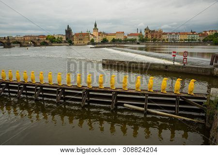 Prague, Czech Republic: The Penguins Installation By The Cracking Art Group At Kampa Park, Prague.