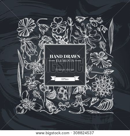 Square Floral Design With Chalk Ylang-ylang, Impatiens, Daffodil, Tigridia, Lotus, Aquilegia Stock I