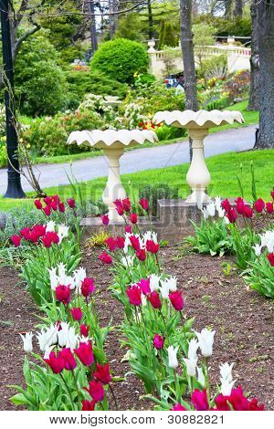 Birdbaths a tulipány v Halifaxu, Nova Scotia parku.