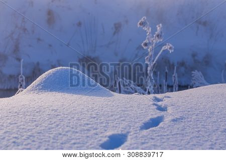 Tiny Snow Hillock With Small Wild Animal Tracks Near With Selective Focus And Blur At Daylight