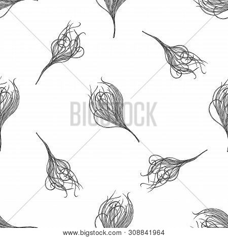 Seamless Pattern With Black And White Feather Grass Stock Illustration