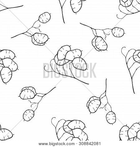 Seamless Pattern With Black And White Lunaria Stock Illustration