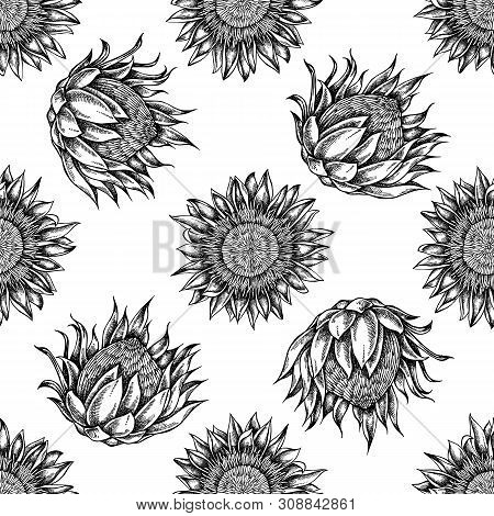 Seamless Pattern With Black And White King Protea Stock Illustration