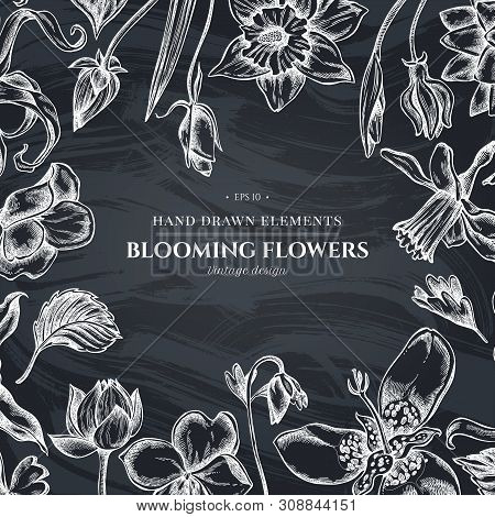 Floral Design With Chalk Ylang-ylang, Impatiens, Daffodil, Tigridia, Lotus, Aquilegia Stock Illustra