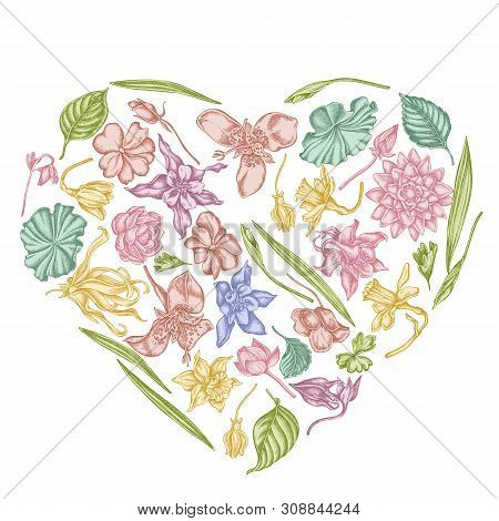 Heart Floral Design With Pastel Ylang-ylang, Impatiens, Daffodil, Tigridia, Lotus, Aquilegia Stock I