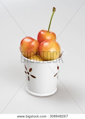 Berries Of Yellow-pink Sweet Cherry In A White Metal Bucket Close-up On A White Background. Still Li