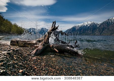 Russia. Mountain Altai. Frosty Spring Morning On The Shore Of Lake Teletskoye