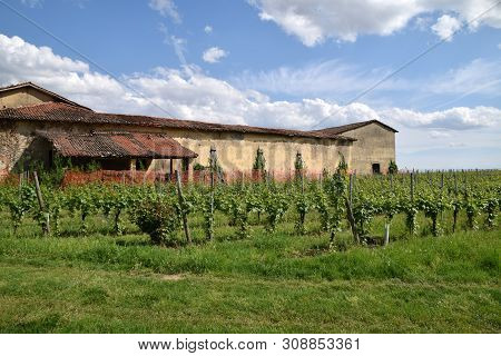 An Ancient Wine Farm With Its Vineyard - Franciacorta - Italy