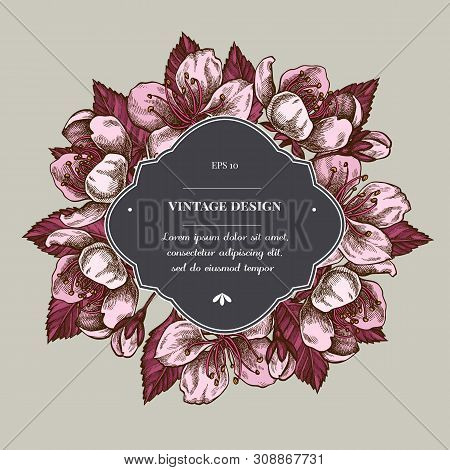 Badge Over Design With Sakura Stock Illustration