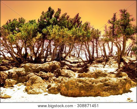 Amazing Beach In Kedrodasos Chania Greece Background Wallpaper Fine Quality