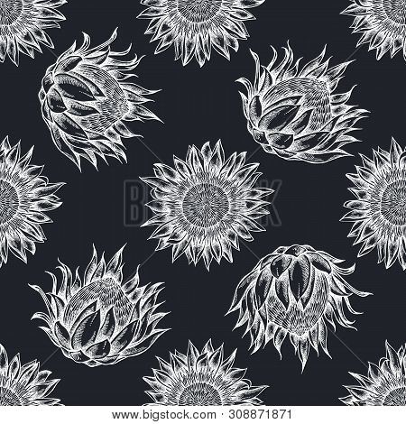 Seamless Pattern With Hand Drawn Chalk King Protea Stock Illustration