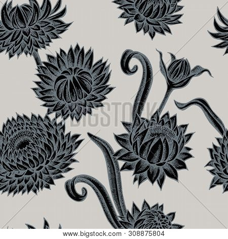Seamless Pattern With Hand Drawn Stylized Helichrysum Stock Illustration