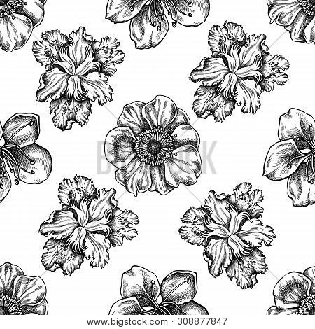 Seamless Pattern With Black And White Anemone, Iris Japonica, Sakura Stock Illustration