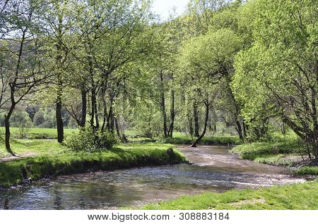 The River Flowing In The Forest Among The Green Grasses And Trees In Early Spring.