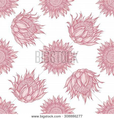 Seamless Pattern With Hand Drawn Pastel King Protea Stock Illustration