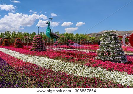 Konya / Turkey, June 7, 2019, Konya Selcuklu Flower Park (cicek Park)
