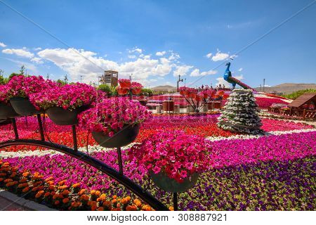 Konya / Turkey, June 7, 2019, Konya Selcuklu Flower Park (cicek Park)