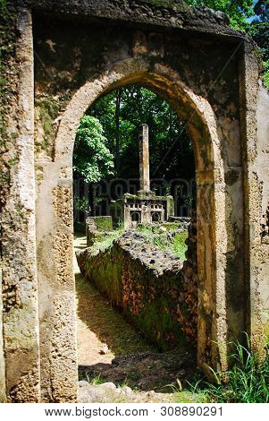 View Of The Gedi Ruins, Close To Mombasa, Kenya
