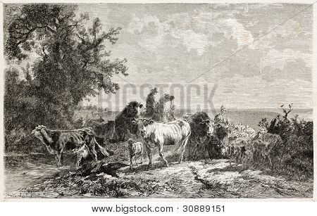 Landmand og hans kvæg gamle illustration. Lavet af Van Marcke, offentliggjort på L'Illustration, Journal 