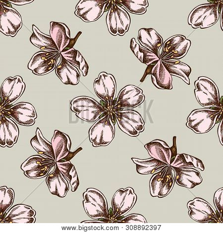 Seamless Pattern With Hand Drawn Colored Almond Stock Illustration