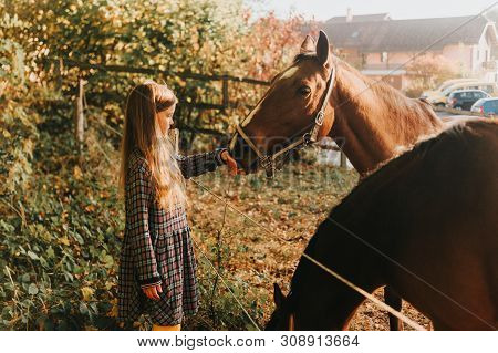 Young Kid Girl Playing With Horses In Sunset Light