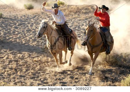 Cowboys selvagens