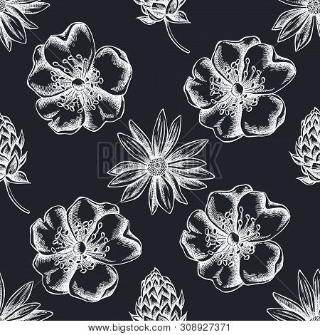 Seamless Pattern With Hand Drawn Chalk Dog Rose, Hop, Jerusalem Artichoke Stock Illustration