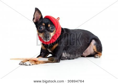 menzogne cane terrier giocattolo nel cappello di artista con pennello di pittura