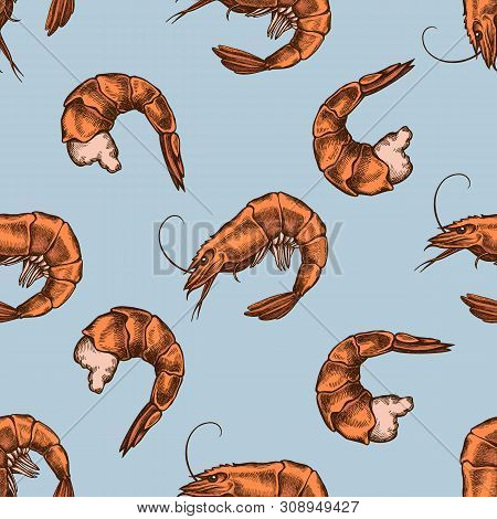 Seamless Pattern With Hand Drawn Colored Shrimp Stock Illustration