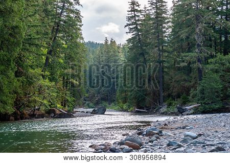 Impression Of The Cowlitz River In Washington State, Near The La Wiz Wiz Campground.