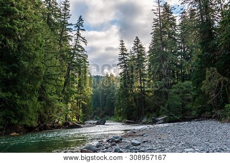 Impression Of The Cowlitz River In Washington State, Near The La Wiz Wiz Campground.