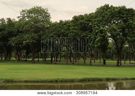 Scenic View Of Walkway In A Park By A Lake