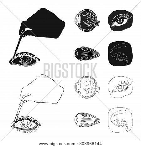 Vector Illustration Of Medical And Eyeball Logo. Collection Of Medical And Optical Vector Icon For S
