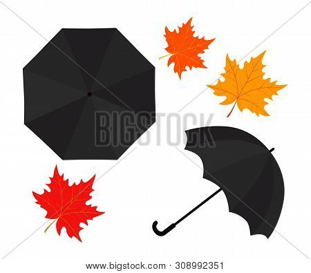 Rain Umbrella And Autumn Leaves On White Background