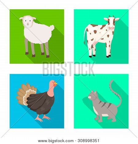 Vector Design Of Breeding And Kitchen Icon. Collection Of Breeding And Organic Vector Icon For Stock