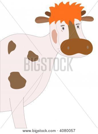 Mladý býk