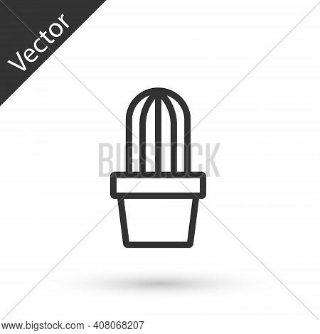 Grey Line Cactus And Succulent In Pot Icon Isolated On White Background. Plant Growing In A Pot. Pot