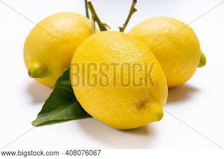 Fresh Ripe Yellow Italian Lemons With Leaf, New Harvest
