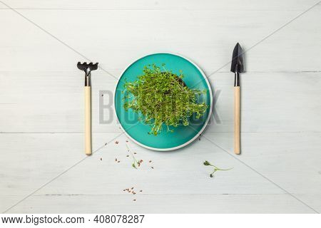 Micro-greenery In A Pot On A Bright Blue Plate And Miniature Gardening Tools. Top View On A Gray Woo