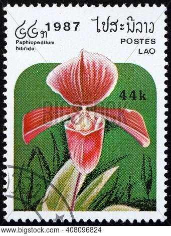 Laos - Circa 1987: A Stamp Printed In Laos Shows The Lady Slipper Orchid, Paphiopedilum Hibrid, Is A