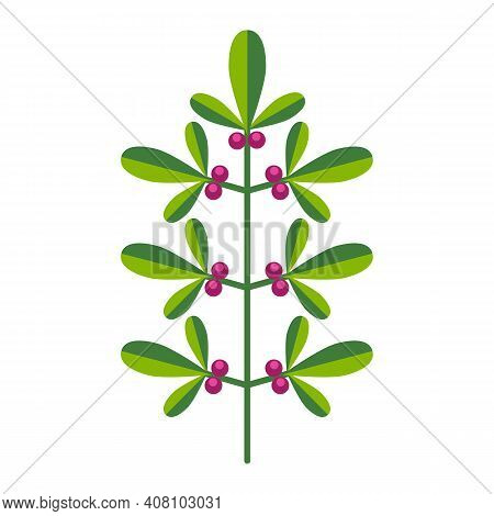 Simple Minimalistic Bright Green Branch With Leaf And Pink Berries. Flower Collection Of Colorful Pl